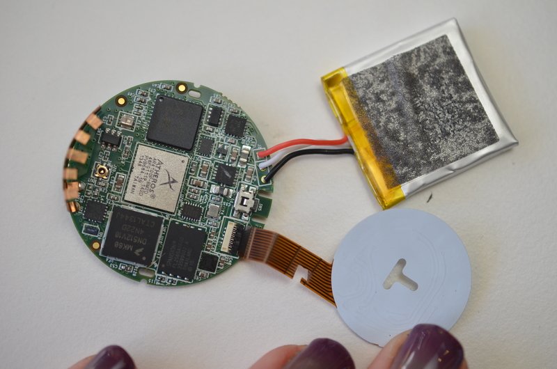 Whistle Dog Activity Monitor Teardown