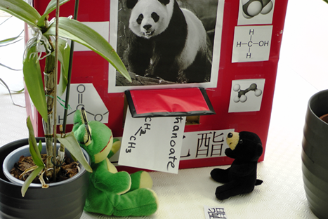 AnimalGarden present “The Chemical Chinese Room” at the American Chemical Society meeting