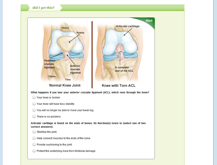 Anatomy & Physiology